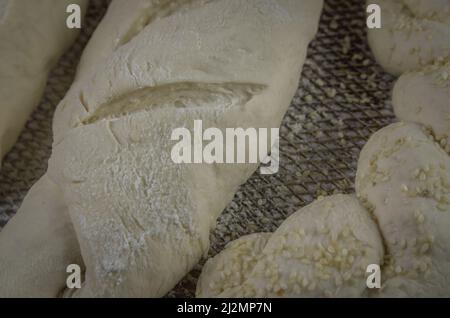 Pain de levain fermentant, fond gris avec fleur de blé séchée Banque D'Images