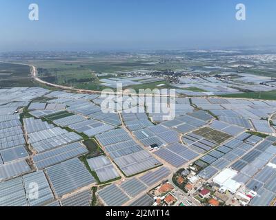 Agriculture de serre, vaste terrain utilisé pour l'agriculture de serre, vue aérienne. Banque D'Images