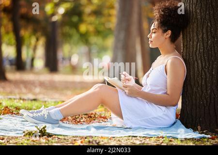 Shes a beaucoup à écrire. Prise de vue en longueur d'une jeune femme attrayante écrivant dans son journal tout en étant assise dans le parc. Banque D'Images