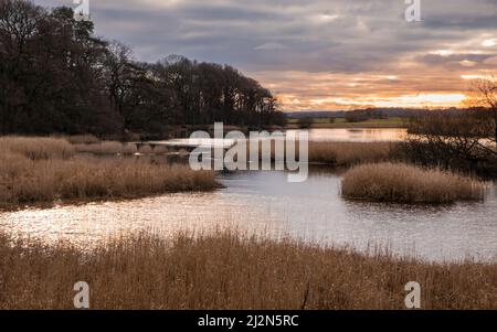 Coucher de soleil sur les îles et les canaux sur la rivière Dee à Threave Estate en hiver, Castle Douglas, Écosse Banque D'Images