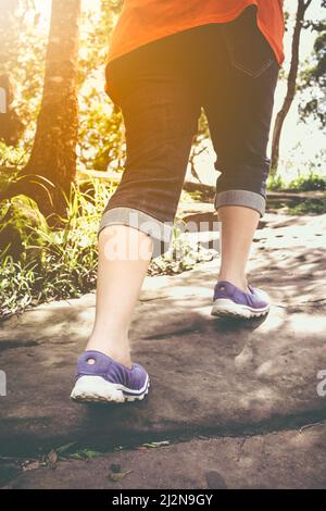 Gros plan des pieds du touriste sur le chemin dans la forêt. Femme marche exercice, concept de santé, plein air. Les femmes se détendent en plein soleil pendant la journée Banque D'Images