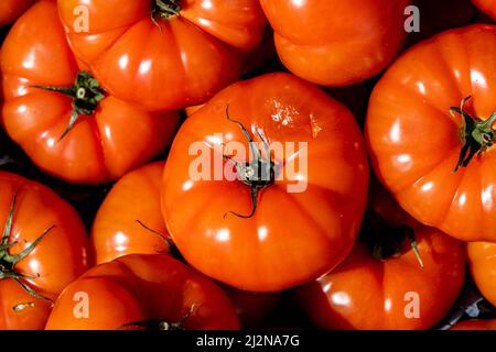 Pile ou pile de grosses tomates salade de bœuf ou de Beefsteak sans personne Banque D'Images