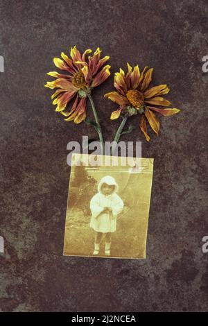 Deux fleurs de Chrysanthemum jaunes et rouges séchées sur du métal terni avec photo sépia de 1920s tout-petits debout dans le parc Banque D'Images