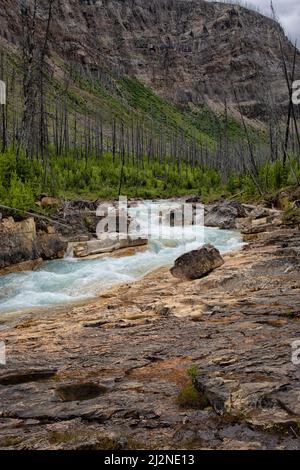 Cascade, Marble Canyon. Parc national Kooteny, Canada Banque D'Images