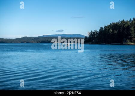 Friday Harbor, WA USA - vers novembre 2021 : vue d'un avion de mer qui débarque au port de l'île de San Juan par une journée ensoleillée et lumineuse à l'automne. Banque D'Images