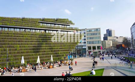 Le nouveau complexe hôtelier de la ville de Düsseldorf, le complexe hôtelier "-Bogen II", dans un après-midi de printemps, est doté d'un bâtiment écologique couvert de haies de charme. Banque D'Images