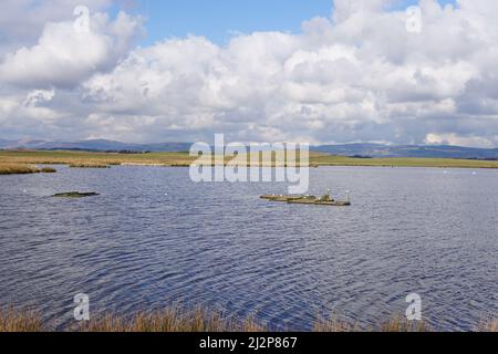 Réserve du Loch Leven RSPB Banque D'Images