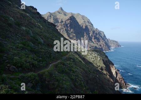 Un randonneur marche le long d'un sentier de montagne d'Anaga jusqu'à Playa de Tamadite sur la côte nord de Ténérife, près de Taganana, îles Canaries, Espagne. Banque D'Images