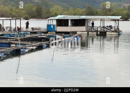 Kota Kinabalu, Malaisie - 23 mars 2019 : petite ferme piscicole de la rivière Mengkabong, les pêcheurs sont sur ponton flottant Banque D'Images