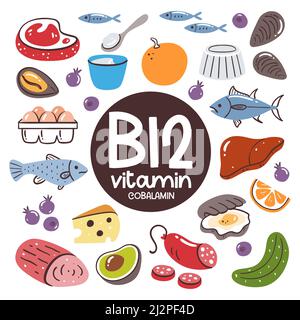 Produits alimentaires à forte teneur en vitamine B12 (cobalamine). Fruits de mer, viande, foie, œufs, produits laitiers, fruits. Illustration de Vecteur