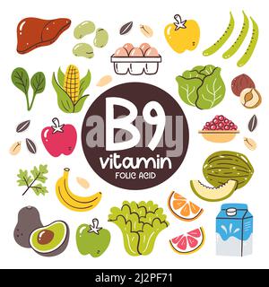 Produits alimentaires à forte teneur en vitamine B9 (acide folique). Ingrédients de cuisson. Fruits, légumes, lait, foie, oeufs, écrous. Illustration de Vecteur