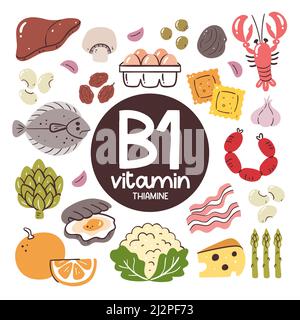 Produits alimentaires à haut niveau de vitamine B1 (thiamine). Ingrédients de cuisson. Fruits, légumes, légumineuses, produits laitiers, fruits de mer, produits à base de viande. Illustration de Vecteur