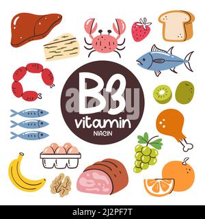 Produits alimentaires à haut niveau de vitamine B3 (Niacine). Ingrédients de cuisson. Fruits, noix, produits laitiers, viande, poisson, œufs. Illustration de Vecteur