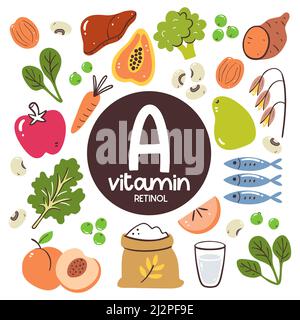 Produits alimentaires à haut niveau de vitamine A (rétinol). Ingrédients de cuisson. Fruits, légumes, légumineuses, céréales, poisson. Illustration de Vecteur