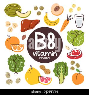 Produits alimentaires à haut niveau de vitamine B8 (Inositol). Ingrédients de cuisson. Fruits, légumes, légumineuses, lait. Illustration de Vecteur