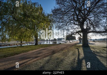 Tôt le matin, de longues ombres à l'étang Heron dans Bushy Park Surrey Banque D'Images