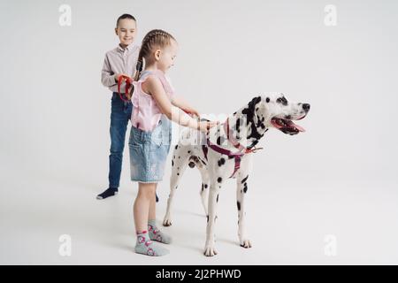 Garçon d'école et sa petite sœur jouant avec un chien dalmatien sur fond blanc.Les enfants passent du temps avec leur animal de compagnie Banque D'Images