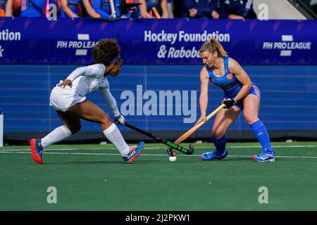 AMSTELVEEN, PAYS-BAS - AVRIL 3 : Renee van Laarhoven des pays-Bas en duel avec Olivia Bent-Cole des États-Unis lors du match de hockey FIH Pro League entre les pays-Bas et les États-Unis au stade de hockey Wagener le 3 avril 2022 à Amstelveen, pays-Bas (photo d'Andre Weening/Orange Pictures) Banque D'Images