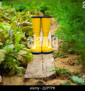 Un gros plan de bottes en caoutchouc jaune dans un beau jardin vert. Banque D'Images