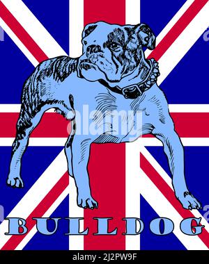 Illustration du Bulldog britannique et de l'Union Jack Banque D'Images