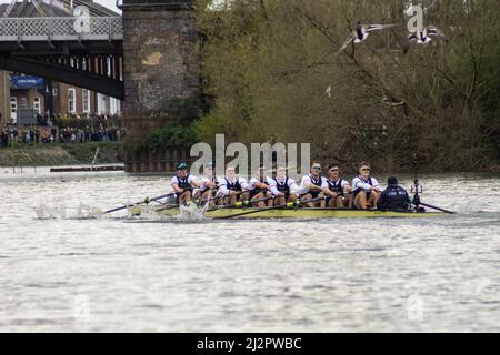 Londres, Royaume-Uni. 3rd avril 2022. Oxford bat Cambridge dans 2022 Boat Race. L'équipe d'Oxford Mens a remporté sa première victoire depuis 2017 lors de la course de bateaux de 167th, à son domicile sur le Tideway. BBC tv a couvert l'événement avec Clare Balding commentant et Sir Matt Pinsent umpeed. Crédit : Peter Hogan/Alay Live News Banque D'Images