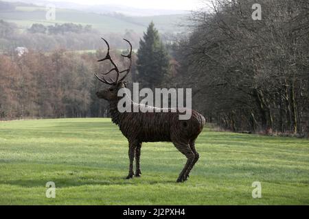 Whiteleys Retreat, Nr Alloway & Maybole South Ayshire, Écosse, Royaume-Uni. Un géant lifesize saule l'éraflure d'un cerf dans le domaine par l'artiste David Powell Banque D'Images