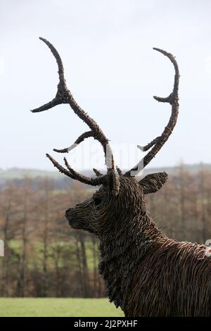 Whiteleys Retreat, Nr Alloway & Maybole South Ayshire, Écosse, Royaume-Uni. Un géant lifesize saule l'éraflure d'un cerf dans le domaine par l'artiste David Powell Banque D'Images