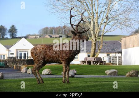 Whiteleys Retreat, Nr Alloway & Maybole South Ayshire, Écosse, Royaume-Uni. Un géant lifesize saule l'éraflure d'un cerf dans le domaine par l'artiste David Powell Banque D'Images