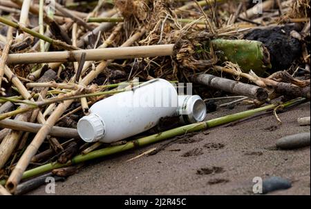 Débris de plastique avec du bois flotté qui a été lavé à terre sur une plage de Malaga Espagne Banque D'Images