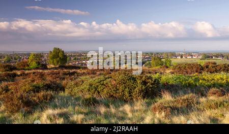 Gentleshaw commune avec vue sur Chase Terrace et Chasetown en mai Cannock Chase Country Park AONB (région d'une beauté naturelle exceptionnelle) à Stafford Banque D'Images