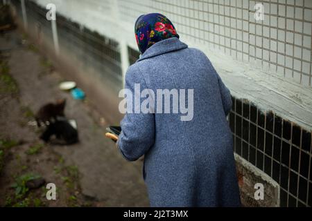 Femme à la retraite en Russie. Femme âgée en Europe de l'est qui nourrit des chats. Une vieille femme près de la maison sous un manteau chaud prend soin des animaux sans abri. Ancien Banque D'Images