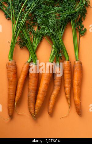 Composition de la vue de dessus à plat avec carottes bio sur fond orange. Espace de copie Banque D'Images