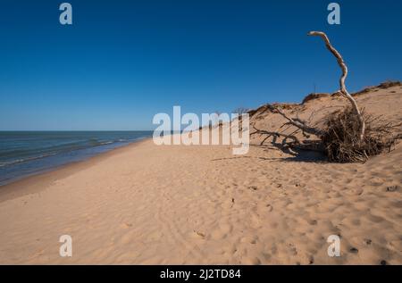 Plage de Désolate sur un front de mer éloigné au parc national d'Indiana Dunes dans l'Indiana Banque D'Images