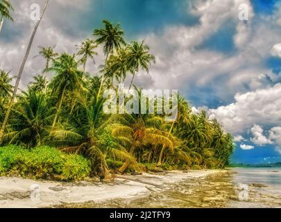 Superbe plage bordée de palmiers d'une île tropicale inhabitée, îles Telo, Indonésie Banque D'Images