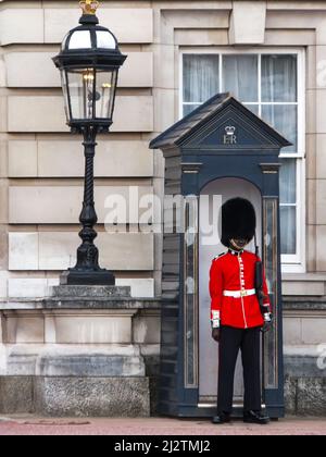 La garde de la Reine en service au Palais de Buckingham à Londres, Angleterre, Royaume-Uni. Banque D'Images