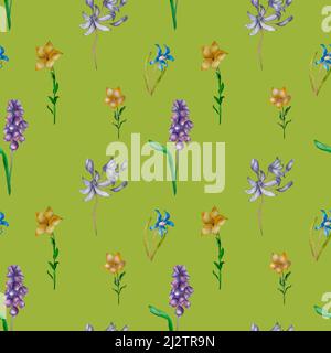 Motif printemps fleuri violet sans couture sur fond vert. Violet, jaune, bleu fleurs sauvages bouquet d'aquarelle de muscari, feuilles vertes isolées. Han Banque D'Images