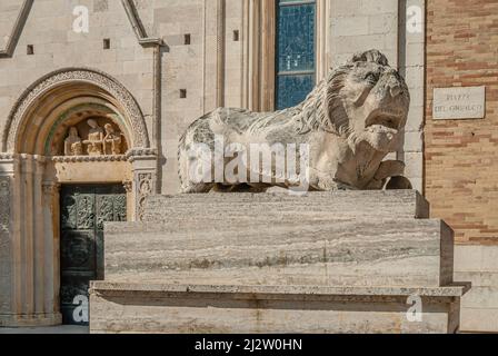 Lion de pierre en face de la cathédrale de Fermo ou de la Cattedrale di Santa Maria Assunta, Fermo, Marche, Italie Banque D'Images