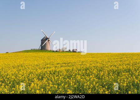 Moulin près du mont saint michel en Normandie Banque D'Images