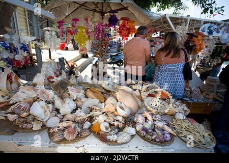La boutique vend des animaux marins morts et des coquillages comme souvenirs, Bodrum, Aegaeis, Turquie, mer Méditerranée Banque D'Images
