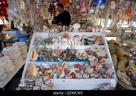 La boutique vend des animaux marins morts et des coquillages comme souvenirs, Bodrum, Aegaeis, Turquie, mer Méditerranée Banque D'Images