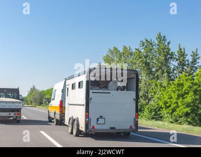 Boîte à chevaux de style européen avec des chevaux tirés en minibus sur la route hongroise. Remorque à cheval sur l'autoroute. Banque D'Images