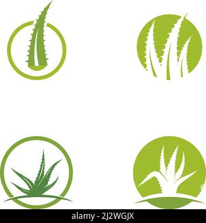 Modèle d'illustration du vecteur du logo Aloe vera Illustration de Vecteur