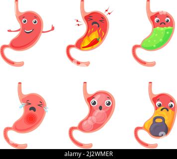 Ballonnements gastriques. Caricature problème d'estomac, oesophagien douleur d'abdomen ulcère indigestion diarrhée heartburn concept médical ventre de l'enfant, sain symbole du ventre illustration vectorielle. Problème d'acide gastrique Illustration de Vecteur