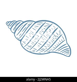 Illustration d'un seul vecteur isolé de bord de mer. Coquillage gravé à la main. Mollusque de l'esquisse du plancher océanique. Palourdes dessinées à la main Illustration de Vecteur