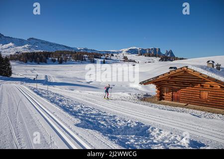 Pistes de ski sur le plateau près de Seiser Alm et Ortisei à Gröden aka Val Gardena, province autonome de Bolzano - Tyrol du Sud, Italie Banque D'Images