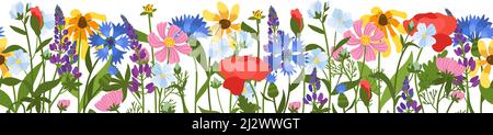 Bordure sans couture des fleurs des champs sauvages. Belles herbes de champ, plantes en fleurs décoratives, fond horizontal de plantes de printemps d'été botanique. Coquelicots Illustration de Vecteur