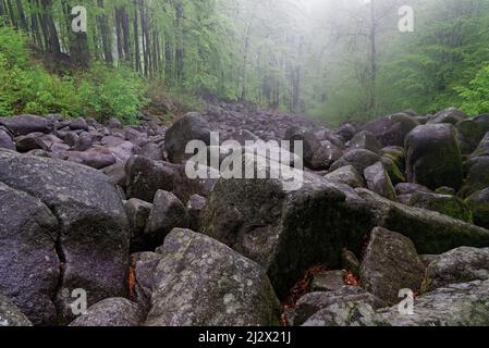 Le brouillard s'élève du Lautertal. Fantastique jour de pluie à felsenmeer, Reichenbach, Odenwald, Hesse, Allemagne. Banque D'Images