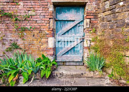 Porte en bois acoustique et le jardin clos de l'intérieur d'un jardin potager d'une maison de campagne en Angleterre Banque D'Images