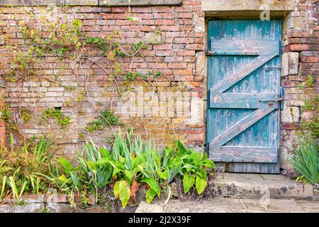 Porte en bois acoustique et le jardin clos de l'intérieur d'un jardin potager d'une maison de campagne en Angleterre Banque D'Images