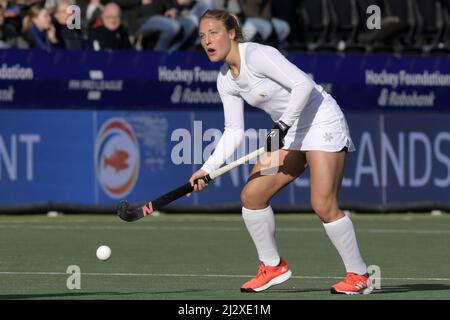 AMSTELVEEN - Ashley Hoffman des femmes de hockey des États-Unis pendant le match de la FIH Pro League entre les pays-Bas et les États-Unis au stade Wagener le 3 avril 2022 à Amstelveen, pays-Bas. ANP | hauteur néerlandaise | Gerrit van Keulen Banque D'Images